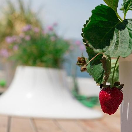 Апартаменты Dreamy Aegean View Афины Экстерьер фото